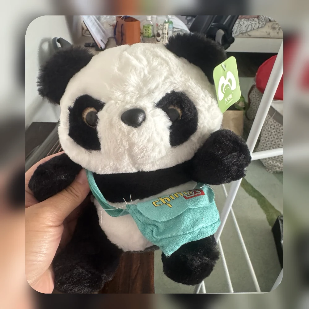 爱心小熊猫公益形象
